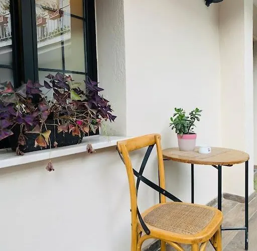 Апартаменты Spacious In A Trendy Neighborhood Тирана